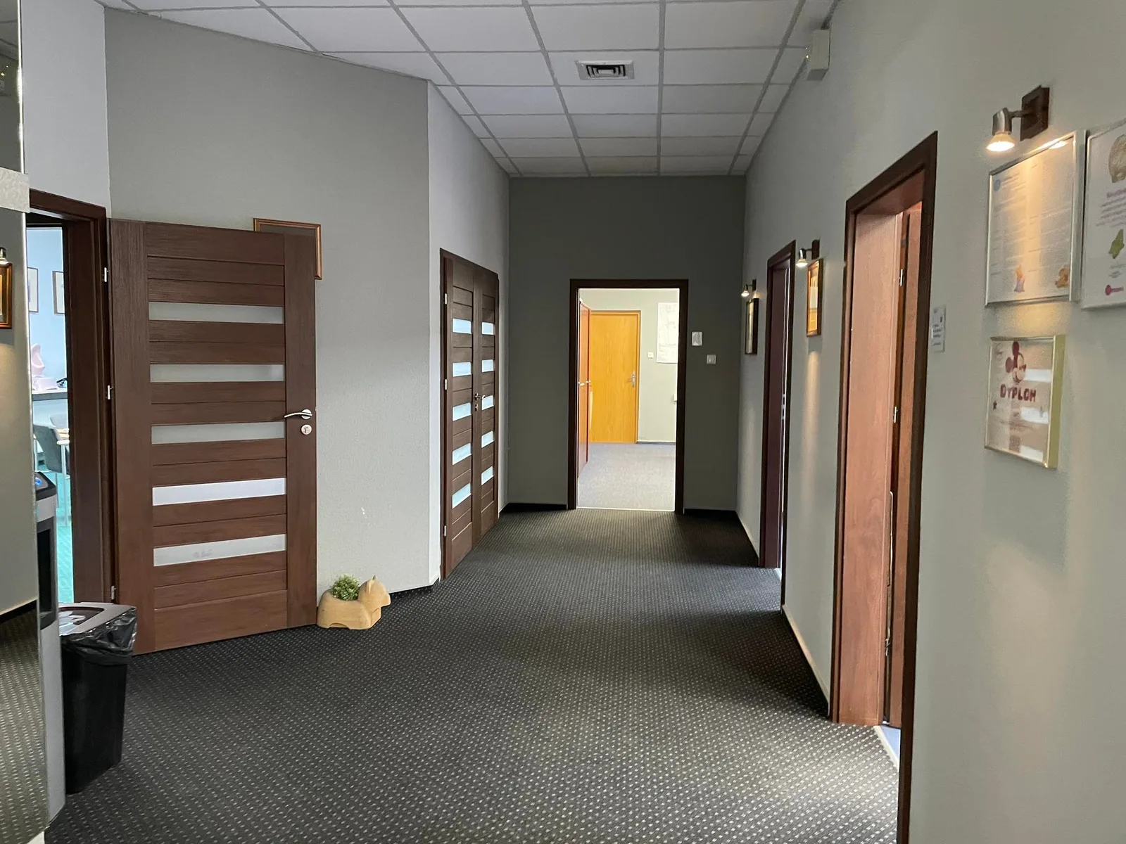 Pre-renovation office corridor photo showing existing dated finishes, suspended ceiling panels, green carpet, and standard office doors before demolition