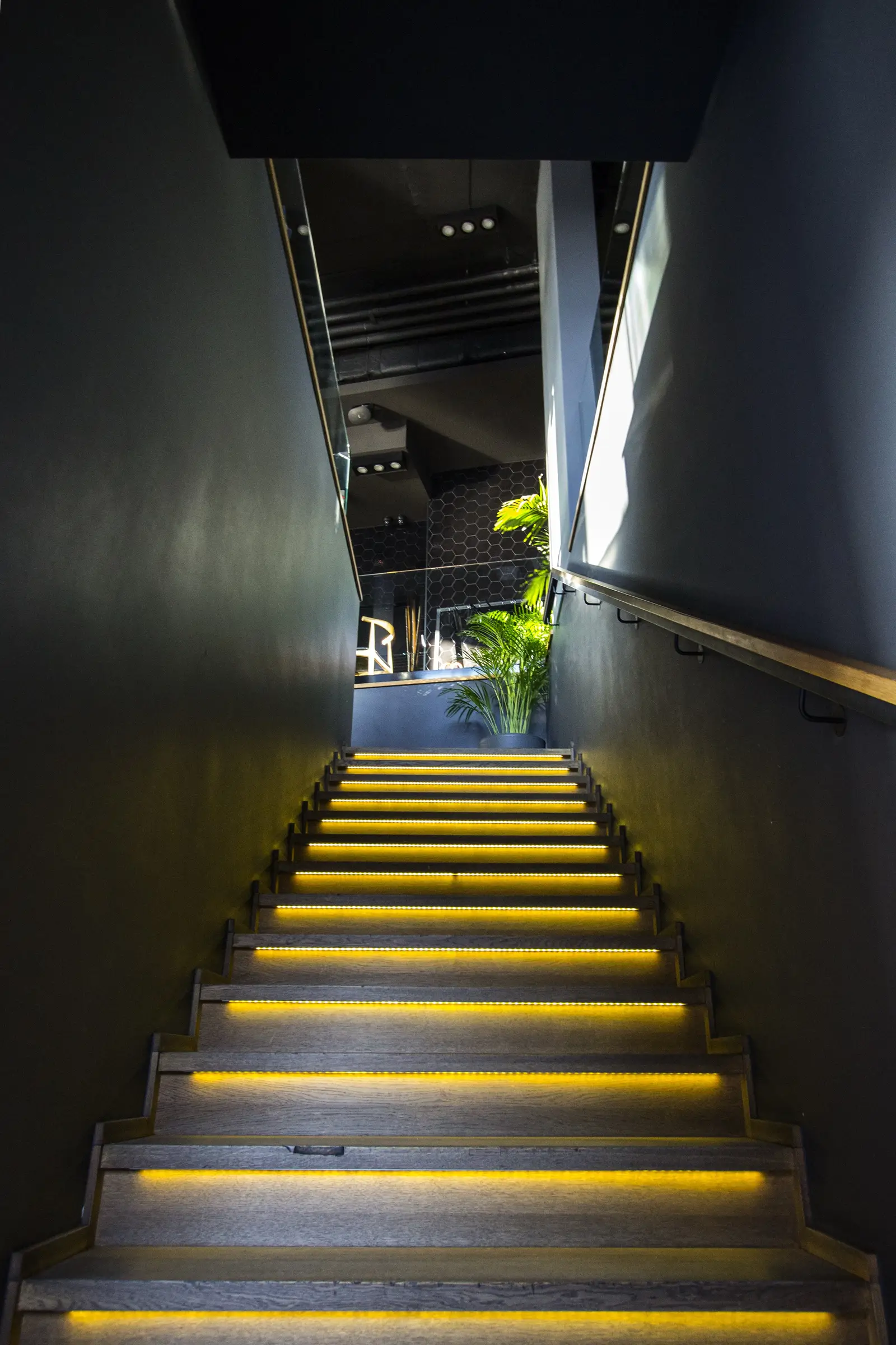 Interior: LED-lit staircase with warm amber under-tread LED strips, oak treads, dark walls, palm plant at top, and hexagonal tiles visible