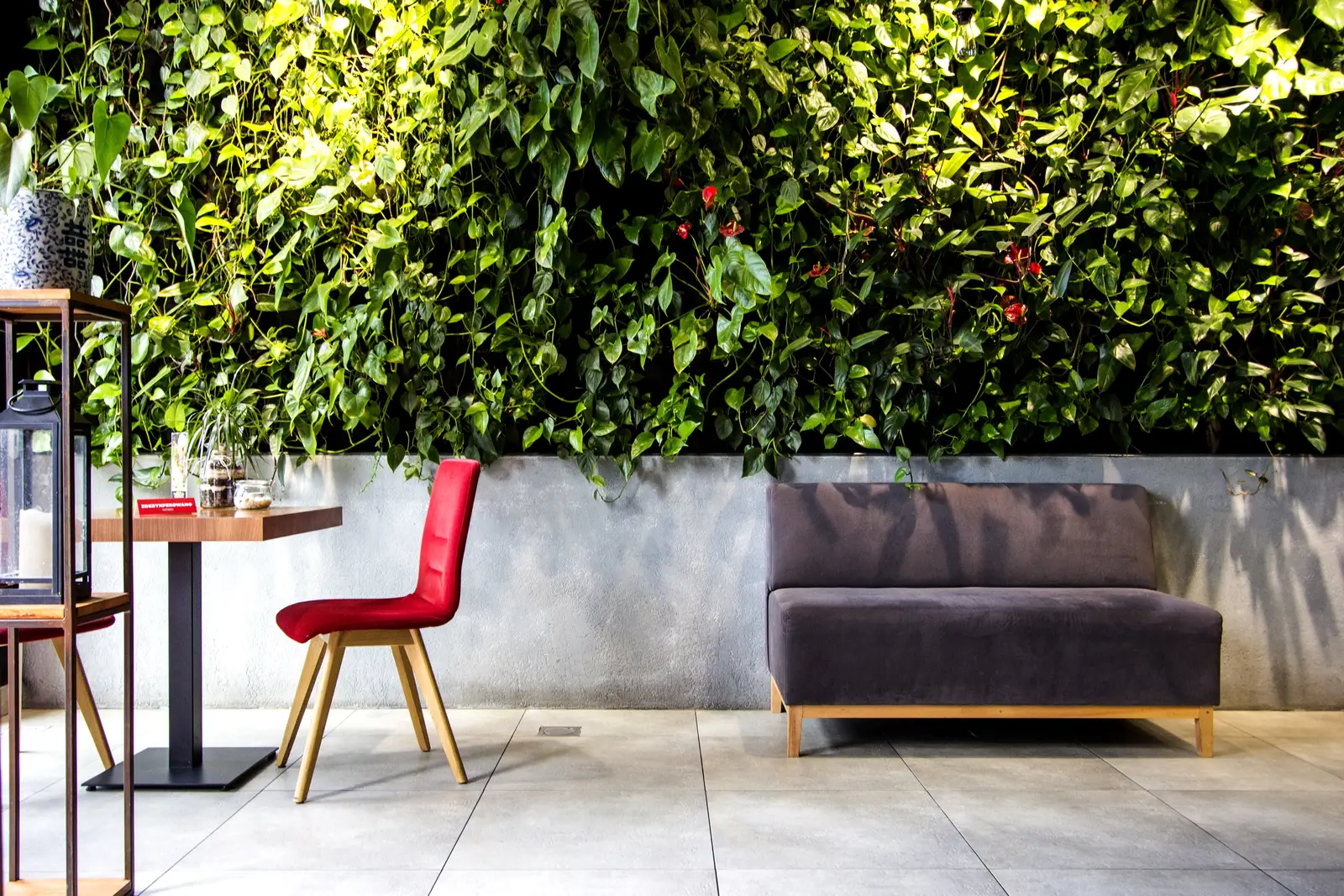 Interior: living green wall close-up with dining furniture — red chair, grey sofa — vivid foliage, natural light