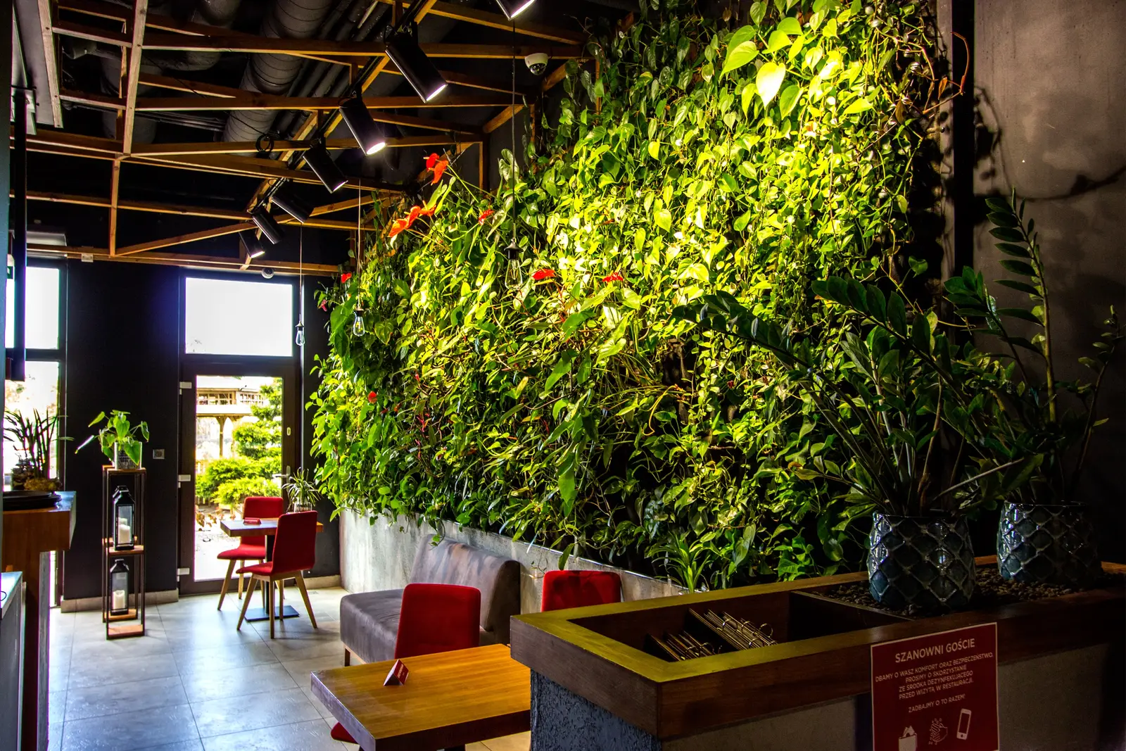 Interior: green wall full close-up — entire frame filled with lush foliage, daylight, no architecture