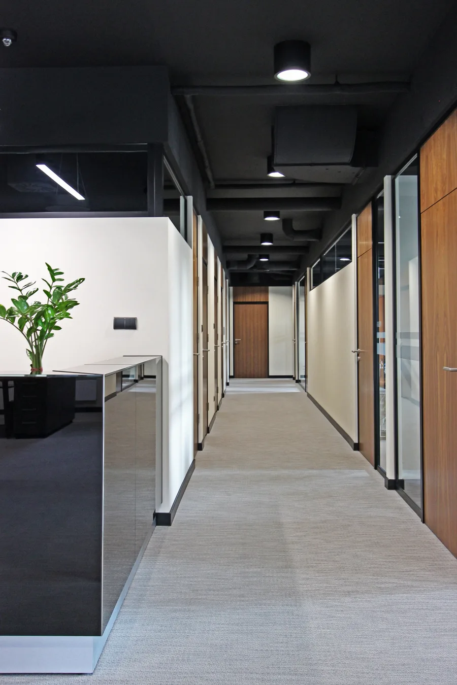 Interior: open-plan workspace showing gold pendant, glass partitions revealing corridor and lounge beyond, walnut desks, and full spatial depth of office