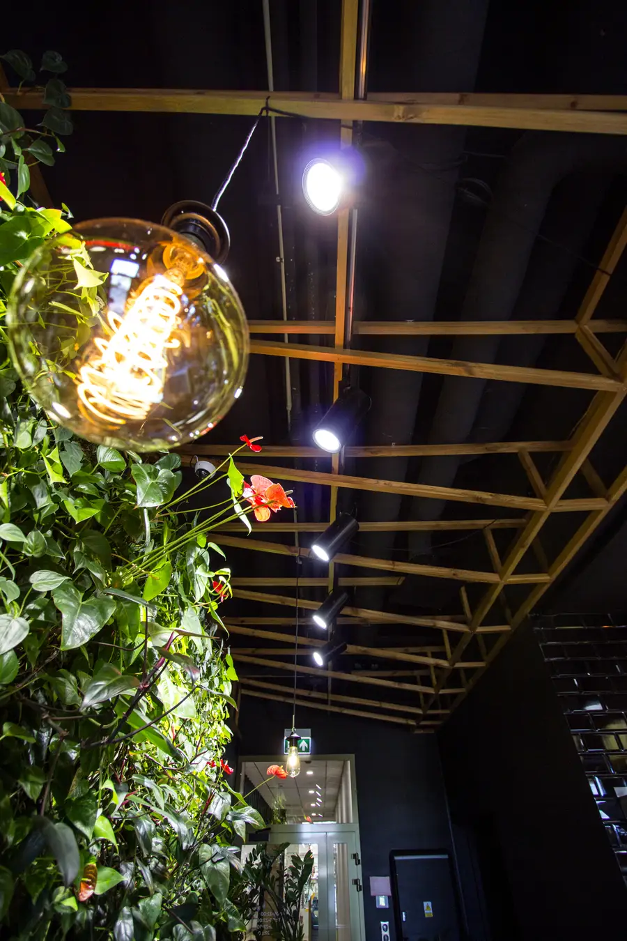 Detail: pendant globe and green wall and anthurium close-up from below, lattice ceiling above