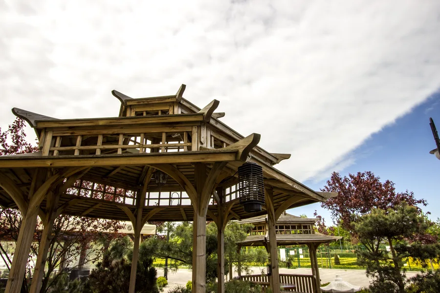 Exterior: pagoda close-up with another pagoda behind, trees, warm tone, dramatic sky
