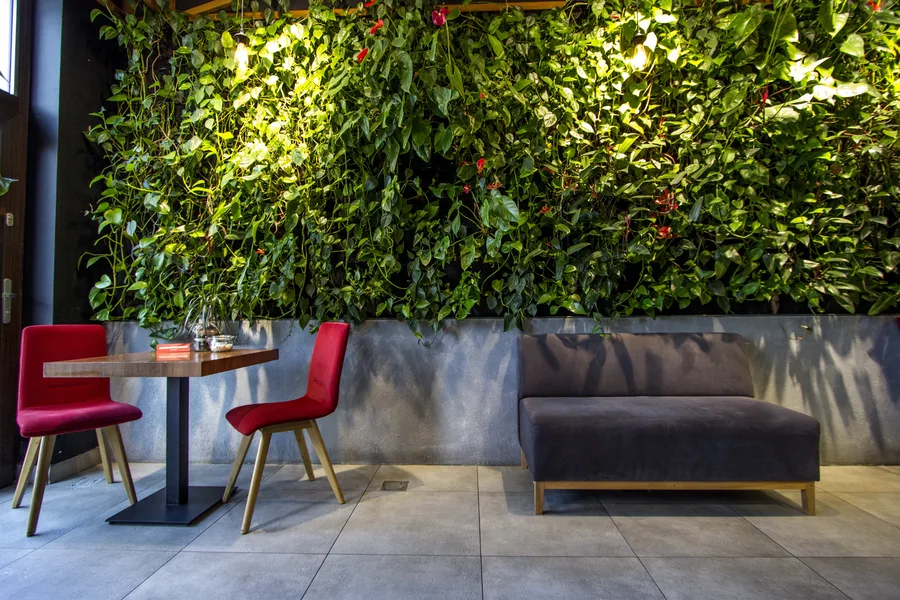 Interior: green wall from mid-distance with sofa, dining table, red chairs, dappled shadow from lattice