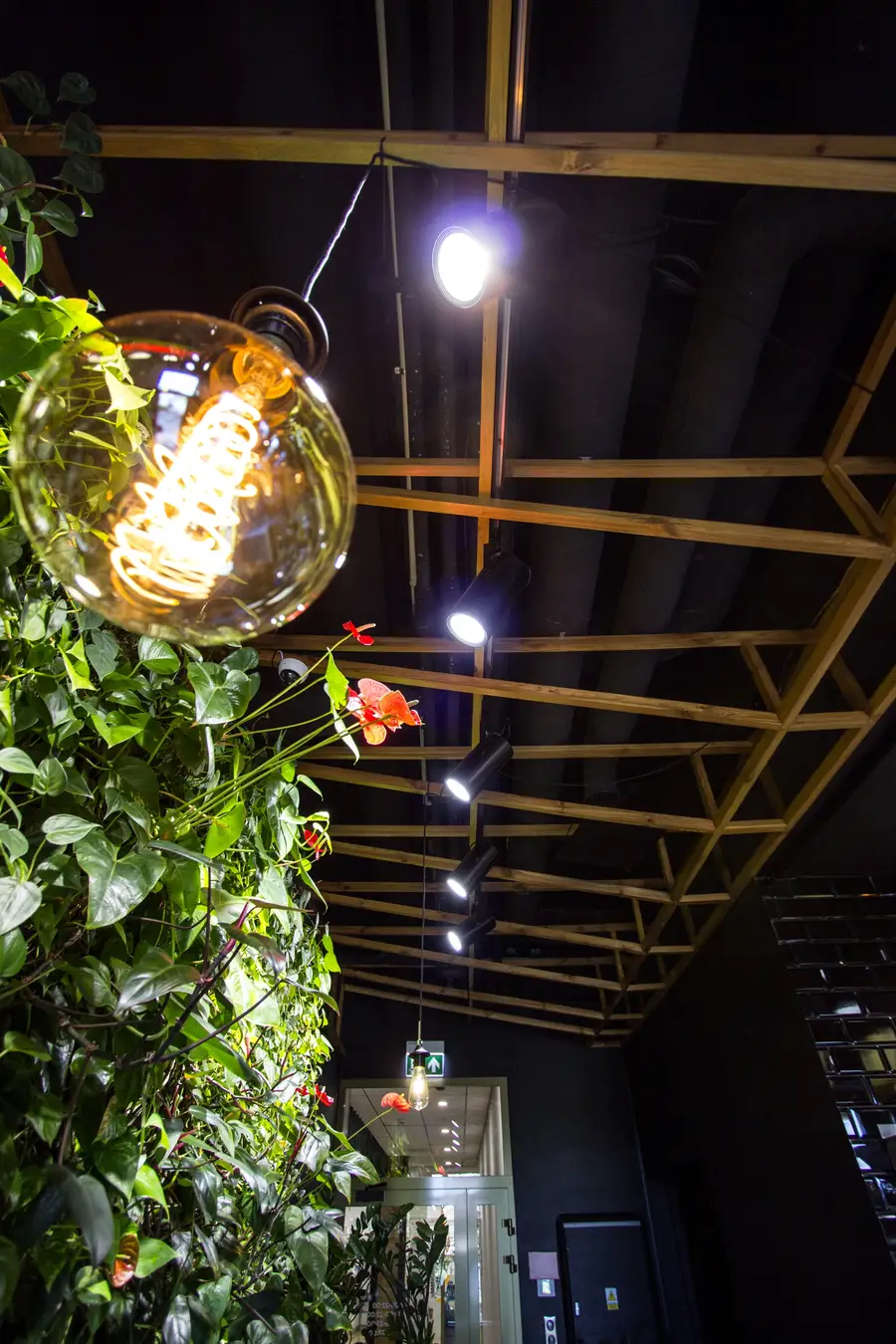 Interior: pendant globe close-up with green wall left, ceiling lattice, bar shelves right, night atmosphere