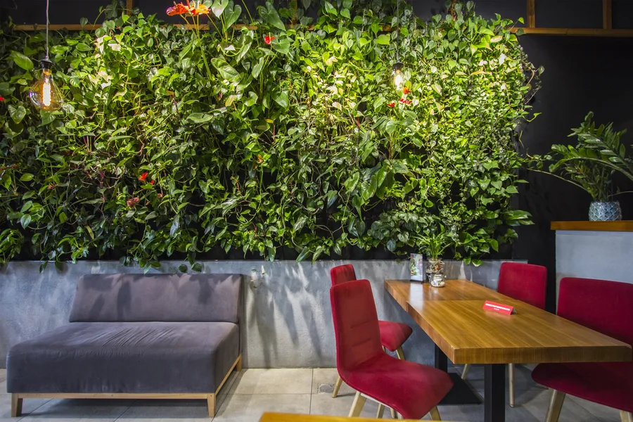 Interior: upper floor — green wall and sofa and dining table with red chairs