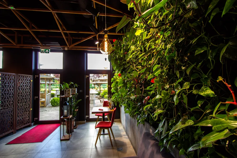 Entrance: lobby and entry hall — green wall right, open doors to Japanese garden, red rug, pendant, daytime