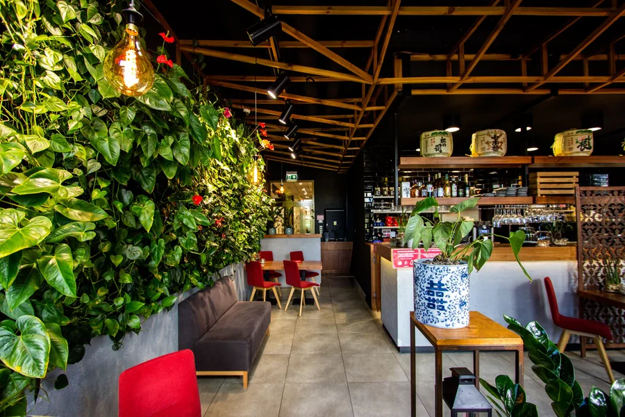 Interior: wide green wall and bar — full green wall left, bar counter right, seating, pendant lights, daytime